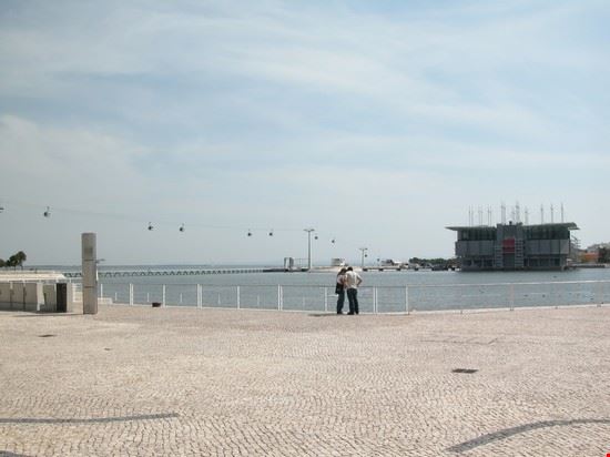 Oceanario Lisbon Editorial Staff Editorial Staff