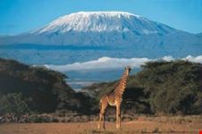 arusha tanzania safari adventure holidays