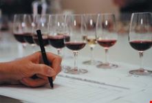 Wine Tasting
