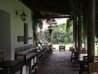 lima cafe del museo
