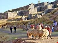 machu picchu trekking
