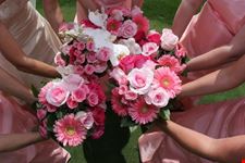 pisa lungarno special weddings