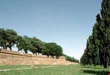 Mura