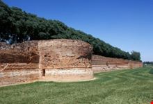 Mura