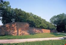 Mura