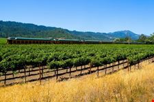 napa napa valley wine train