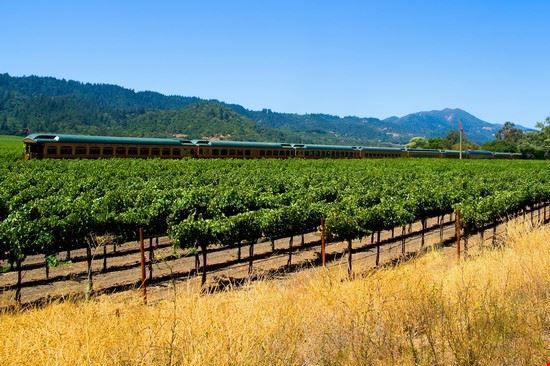  Napa Andy Z. 
©Shutterstock  Andy Z. 
©Shutterstock 