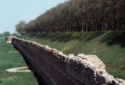Mura