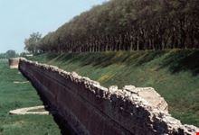 Mura