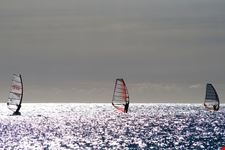 miami windsurfing