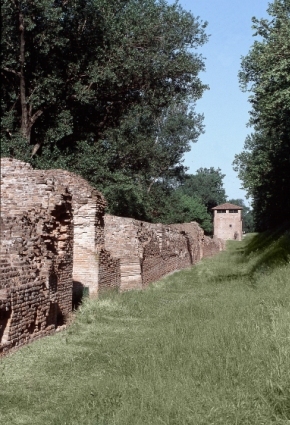 Mura