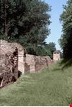 Mura