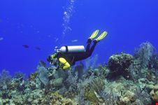 Scuba Diving