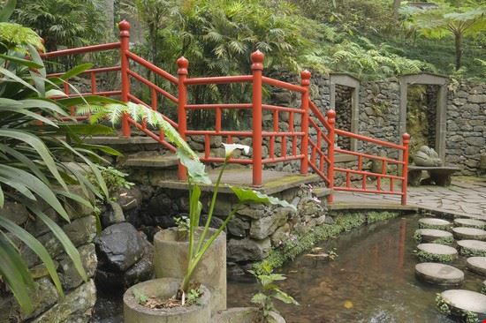 Tropical Garden Tropical Garden