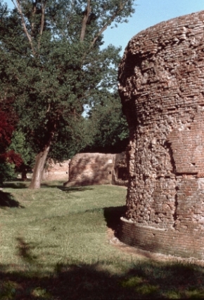 Mura