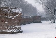 Mura