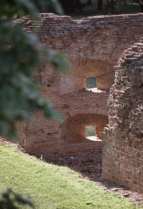 Mura