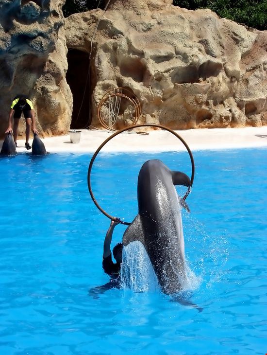Sea World