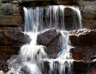 andrew hayden park ottawa