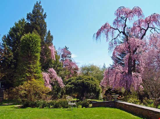 Photo Beverly Gardens In Beverly Hills Pictures And Images Of