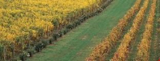 melbourne wine tour around yarra valley