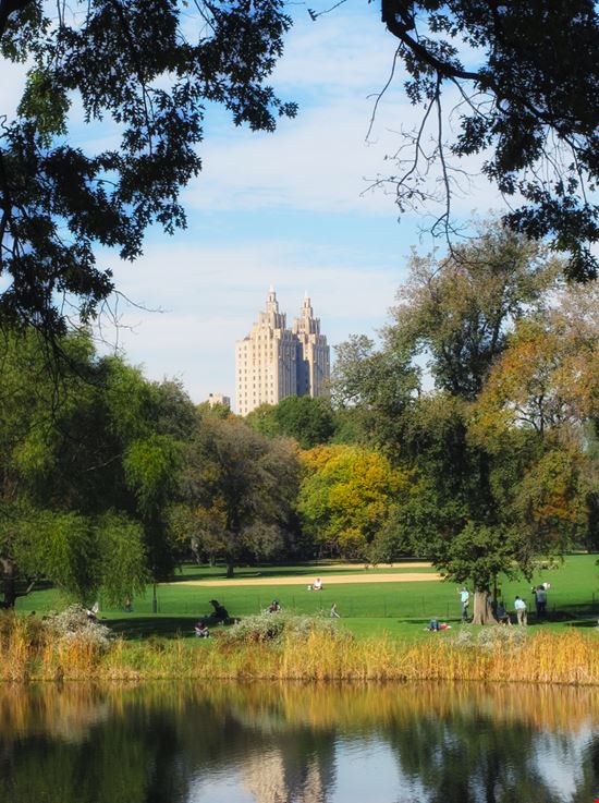 Central Park New York  