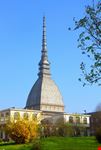 turin la mole d  antonelli