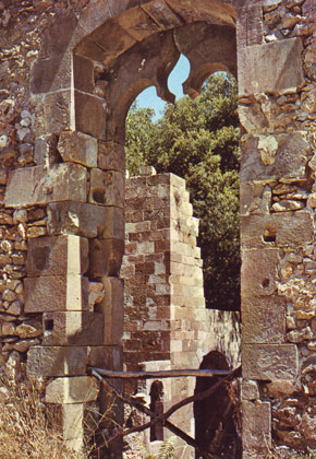Rovine del Castello