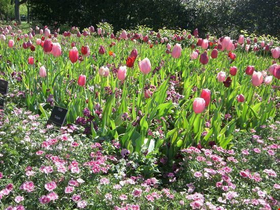 Dallas Arboretum and Botanical Garden
