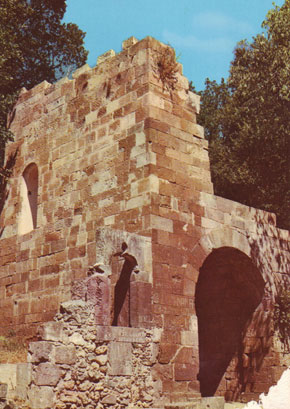 Rovine del Castello