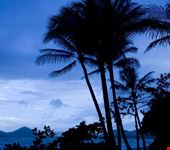 Palm Cove Beach