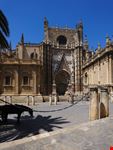 sevilla catedral de sevilla