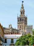 sevilla giralda