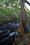 the hillsborough river state park tampa