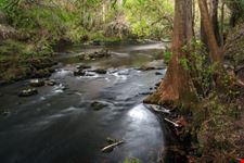 the hillsborough river state park tampa