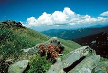 Il Crinale del Parco dei Cento Laghi