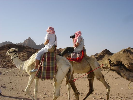 sharm el sheikh camel ride