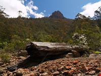 Mount Wellington