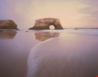 natural bridges state park santa cruz