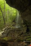 The Pisgah National Forest