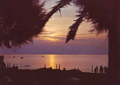 Alba sul mare e palmizi