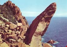 Costa Calamoresca