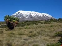 mount kilimanjaro climbing expeditions arusha