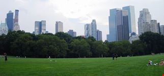 new york new york walking tour