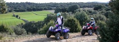 madrid quad 3