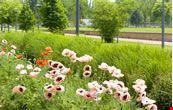 lyon le parc de gerland