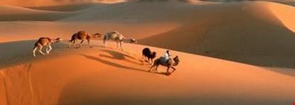ouarzazate sahara tours