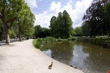 amsterdam vondelpark in amsterdam