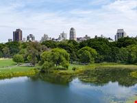 new york central park und skyline new yorks