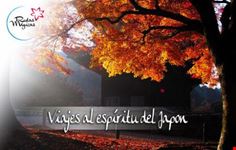 barcelona viajes al espiritu de japon